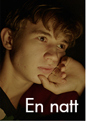en_natt.png