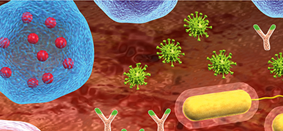 Immunsystemet Immunsystemet, dekorativ bild